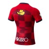 Officiële Voetbalshirt Kashima Antlers Thuis 2024-25 - Heren